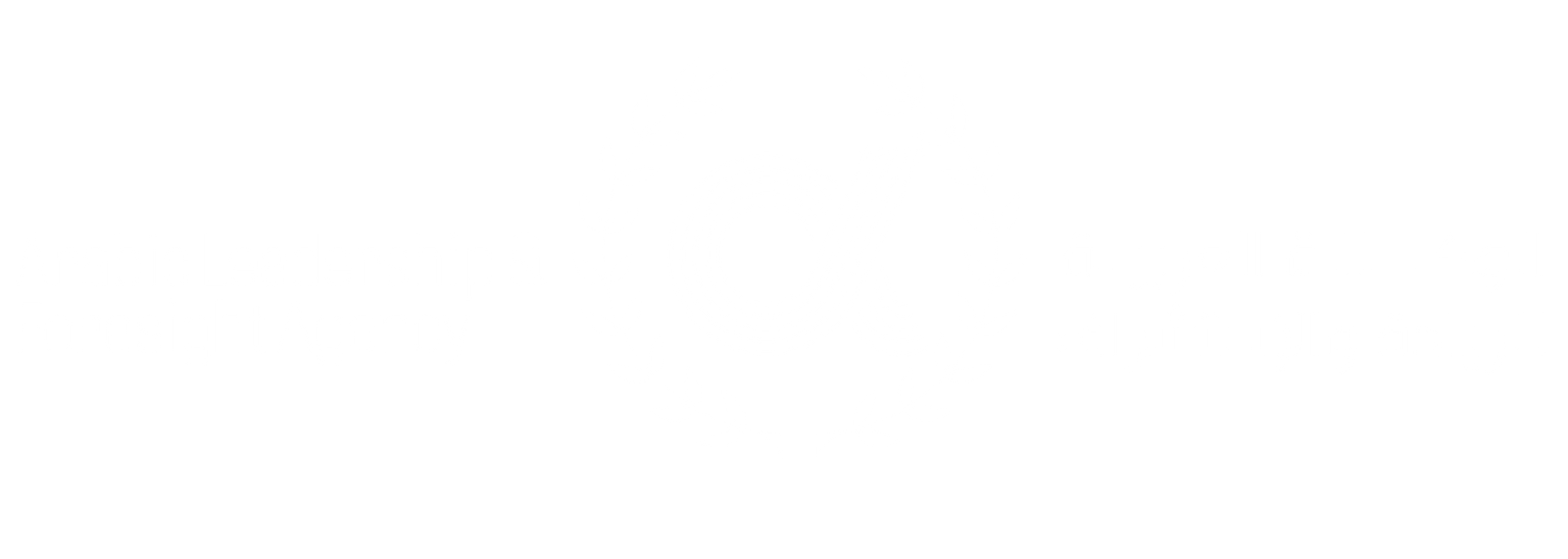 ALFA UAE